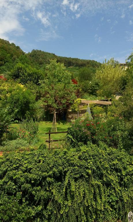 B&B Casa Brunelli Trento Exteriör bild
